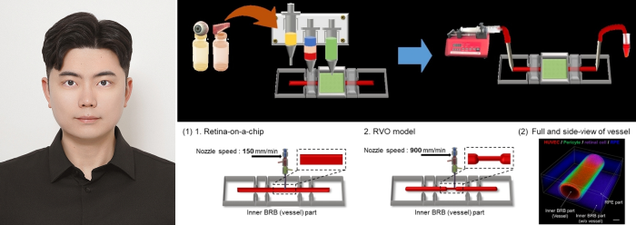 생명공학과 김정주 교수 연구팀, 최상위 국제 학술지 'Advanced Compsites and Hybrid Materials'에 논문 게재 이미지